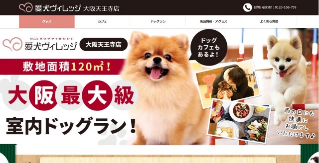 【大阪】愛犬同伴！おすすめの人気ドッグカフェ16選
